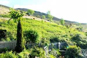 Photo 21- click for photo gallery